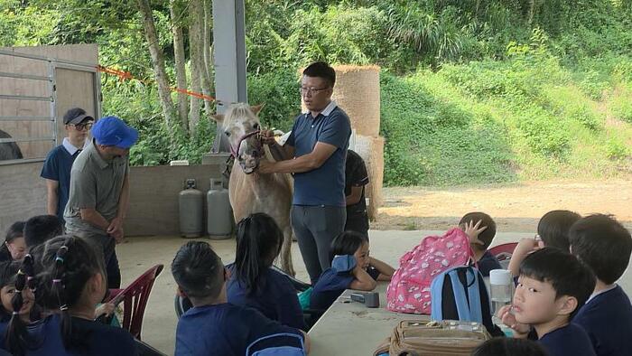 JUST Hosts Equestrian Summer Camp, Enabling Children from the Sanchong Family Support Center to Learn Life Education Through Fun and Engaging Activities圖片